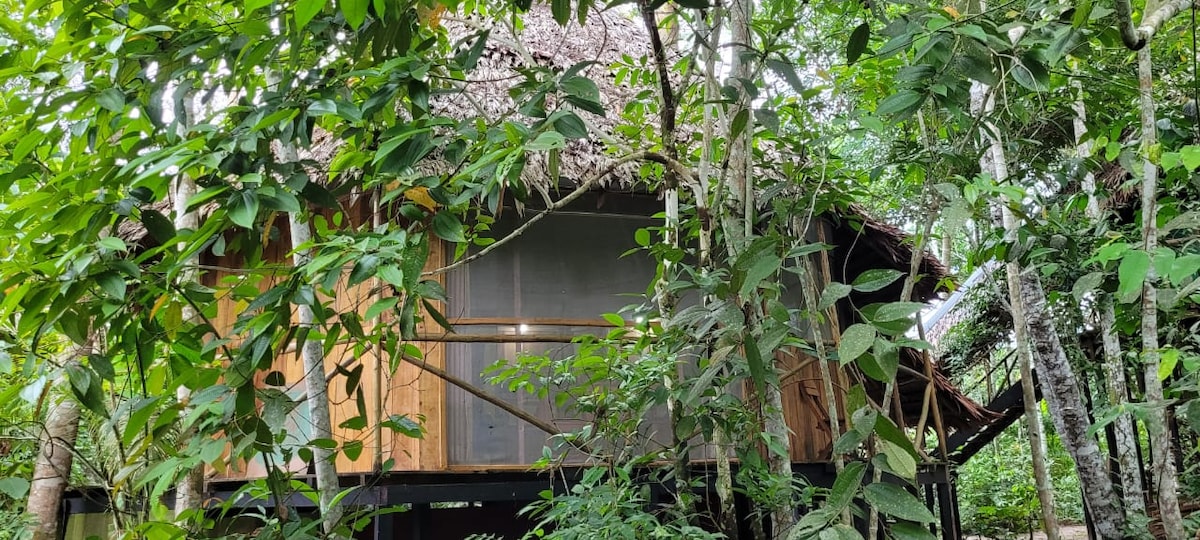 A private bungalow nestled among lush greenery features a thatched roof and wooden structure. Large screened windows provide views of the surrounding jungle, while the balcony showcases sturdy railings, emphasizing a connection with nature.