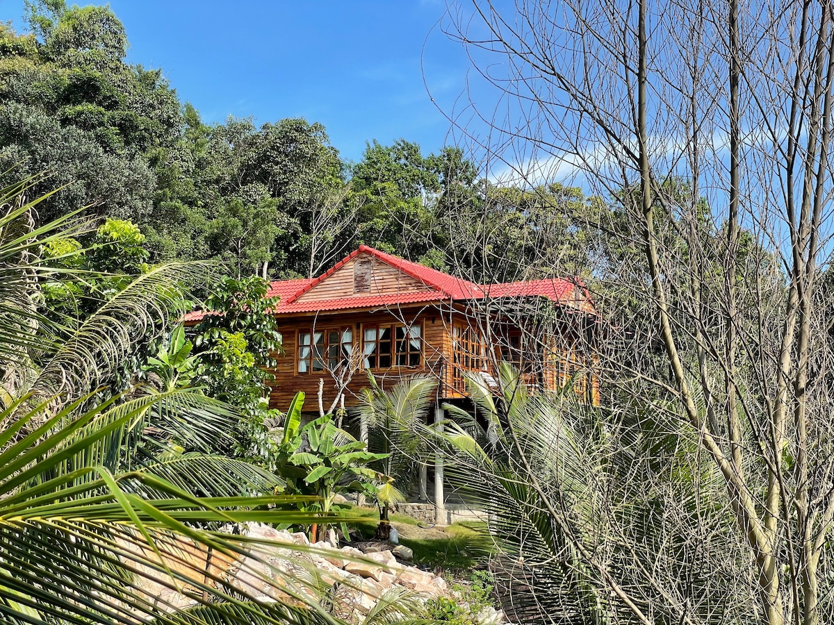 A wooden house is situated among lush greenery, with a vibrant red roof contrasting against the foliage. The structure features large windows that invite natural light, and the surrounding area includes various trees and plants, creating a serene environment.