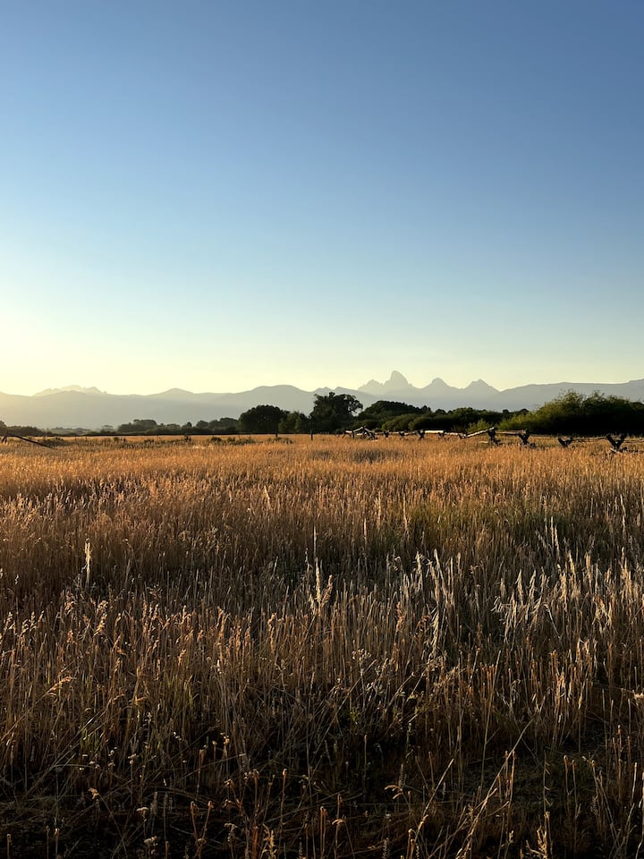 Teton View Tent