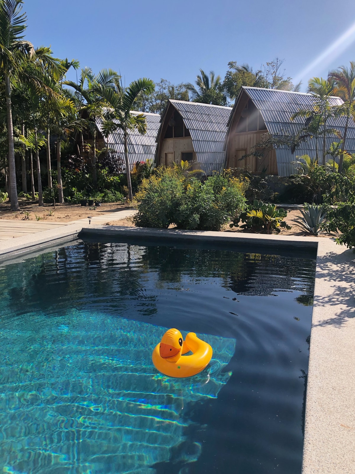 A tranquil lap pool reflects clear blue skies, surrounded by lush greenery and palm trees. A bright yellow rubber duck floats on the water, adding a playful touch. In the background, distinctive structures with metal roofs create a unique architectural feature.
