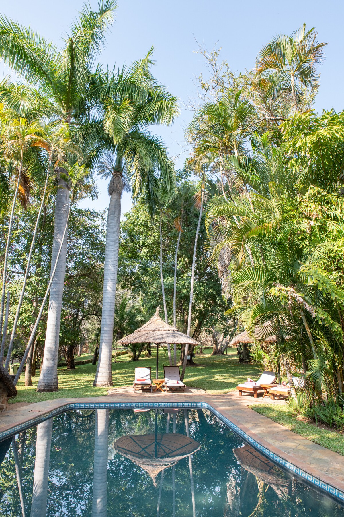 A tranquil swimming pool is surrounded by palm trees and lush greenery. A thatched gazebo is positioned nearby, accompanied by lounge chairs. The clear sky reflects vividly in the water, creating a serene environment for relaxation.
