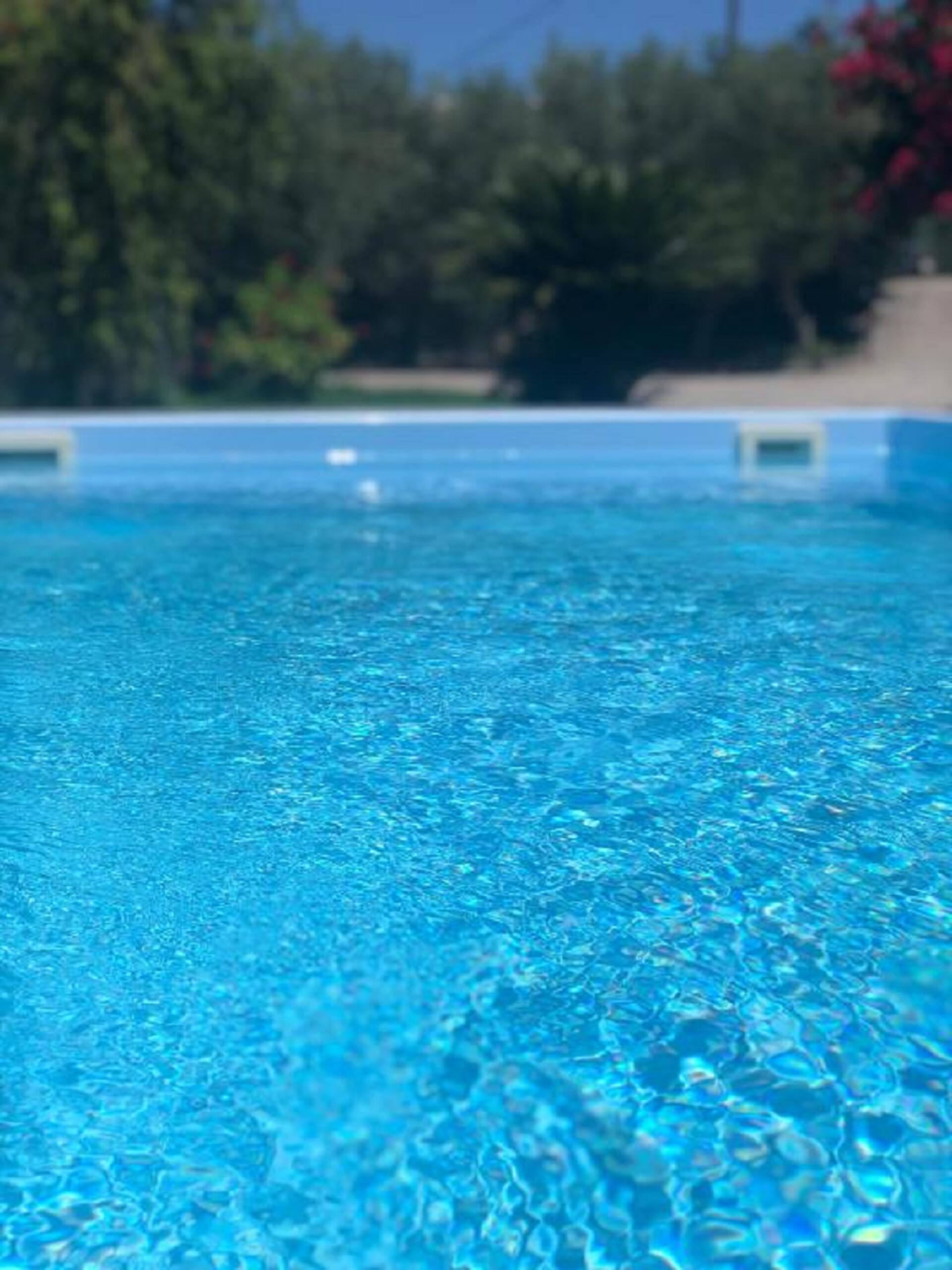 Physis Rental Estate — foto 2