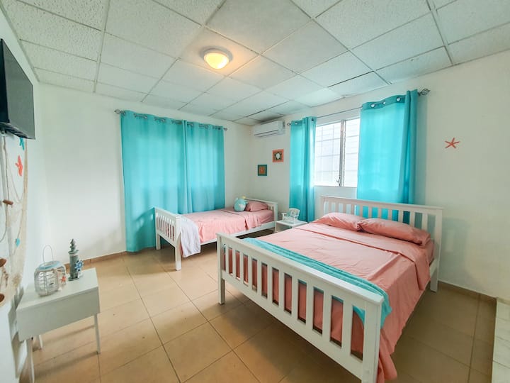 Стая 1 / 1 двойно легло и 1 единично легло 