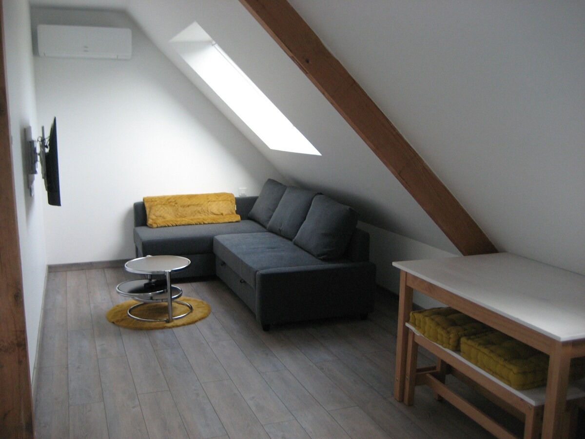 Airbnb performant: The Eden of Guyonnière à Sarthe