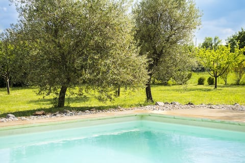 Villa Verdon region, pool, quiet /5000m2 garden
