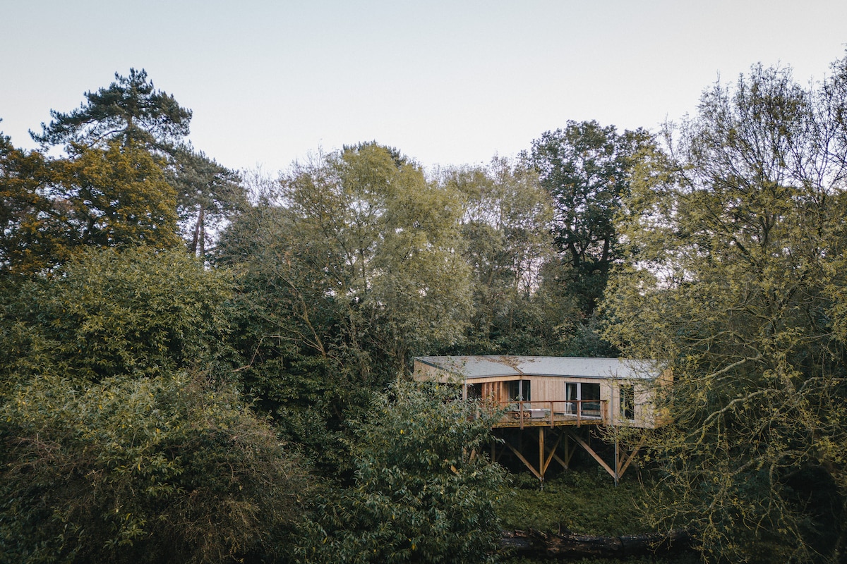 A serene cabin is nestled among lush greenery, elevated on wooden supports. The exterior features large windows, allowing natural light to flood the interior. Surrounding foliage includes vibrant leaves from trees, creating a tranquil atmosphere in the woodlands.