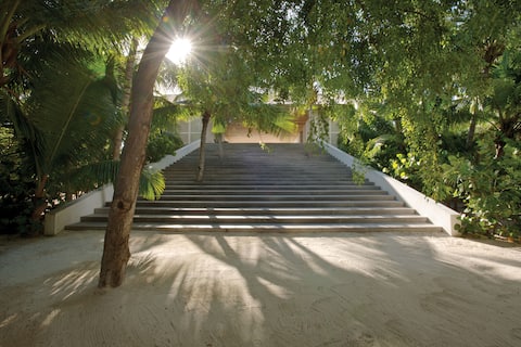 Stairway to Heaven - Dune House X Oceanfront