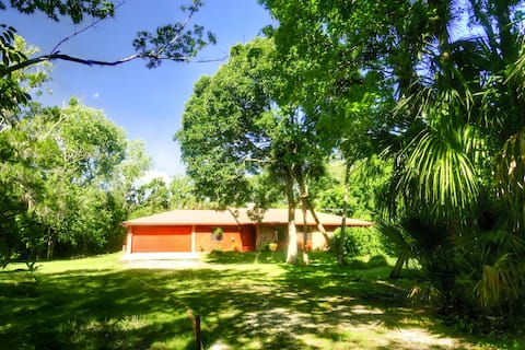Top performing Airbnb: Cabin in the woods. in Titusville