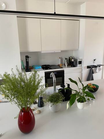 Modern apartment in hip area gallery image 2