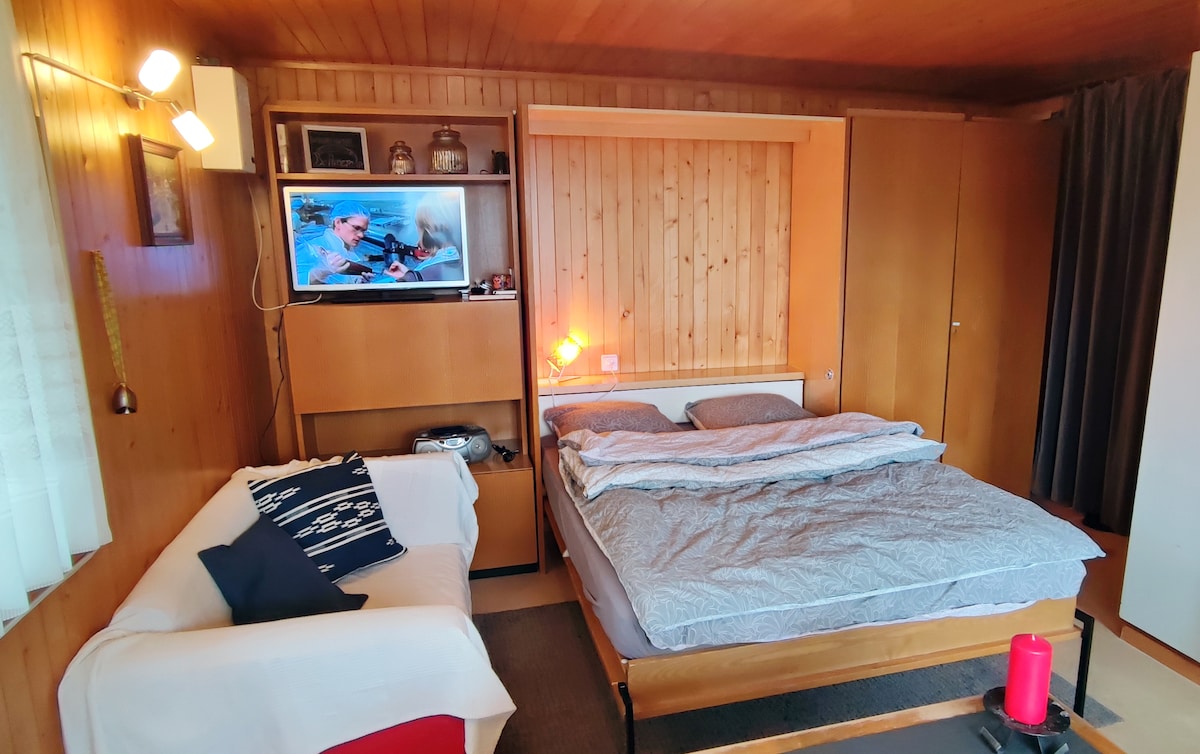 A cozy living space features wooden paneling and warm lighting. A spacious bed is set against the wall, complemented by a television mounted above a storage unit. A light-colored sofa is positioned nearby, creating a comfortable atmosphere.