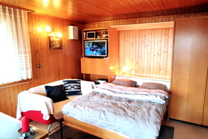 سرير مزدوج طي 140 × 200 في جدار المعيشة لغرفة المعيشة.