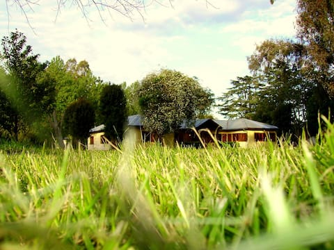 Cottage <The Encounter>