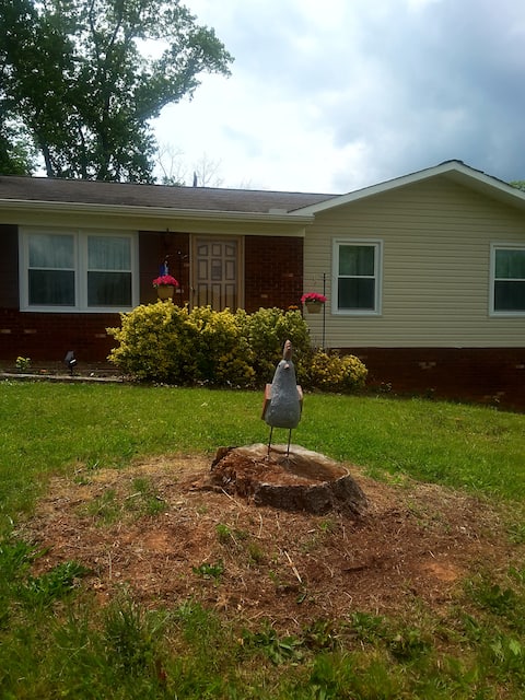 The Roost - 4/10 mile from N Wilkesboro Speedway