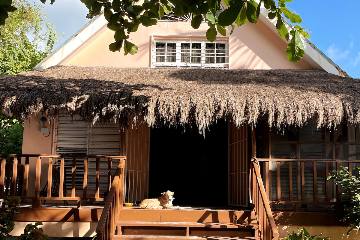 A charming entrance features a thatched roof, providing shade to the spacious wooden deck. Double glass doors invite guests inside, while a dog rests comfortably on the steps, surrounded by lush greenery that offers a serene atmosphere.