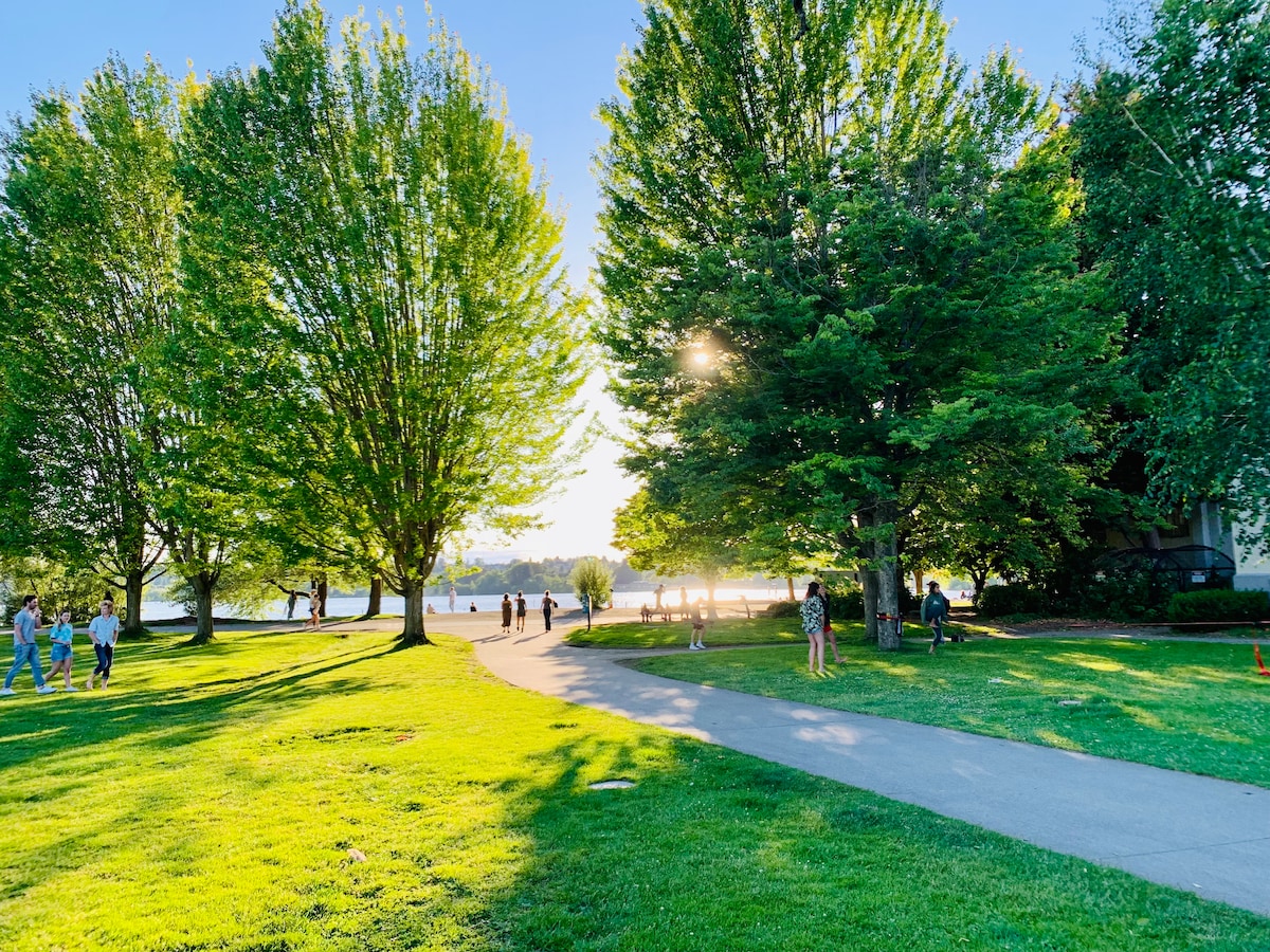 A serene park scene displays a tree-lined path leading to a sparkling lake. Sunlight filters through the lush green foliage, casting warm glimmers on the grass. People are engaged in various activities, enjoying the outdoor atmosphere, while expansive trees provide shaded areas.