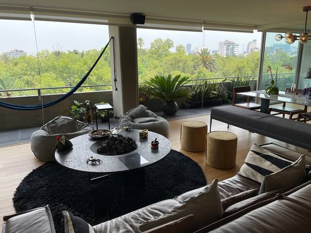 Cozy & illuminated Condesa apt gallery image 2