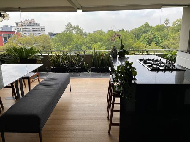 Cozy & illuminated Condesa apt gallery image 4