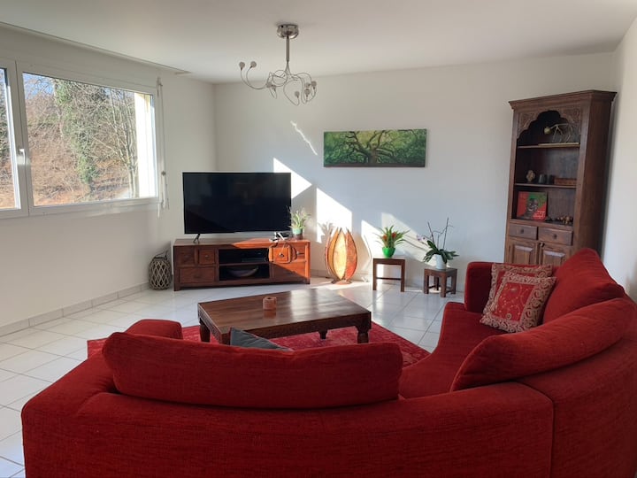 Lovely 3.5 room apartment Apartments for Rent in GrangesPaccot, Fribourg, Switzerland Airbnb