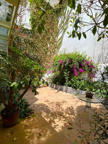 Ubicación conveniente en La Condesa, hermosa casa. gallery image 2