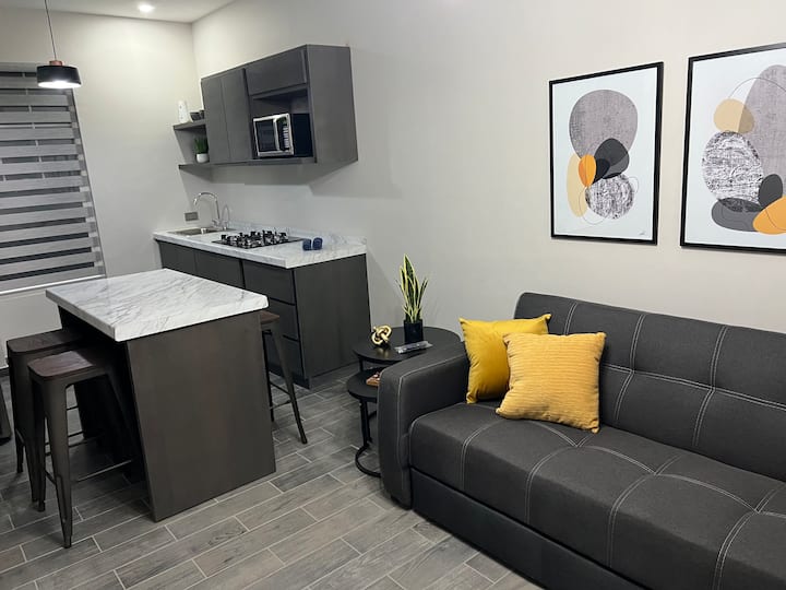 Downtown 1 apartment