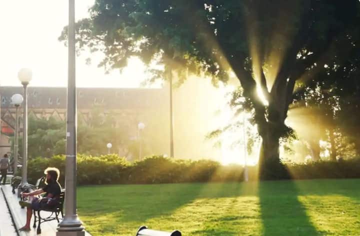 Take a stroll in Hyde park during sunset or sunrise.