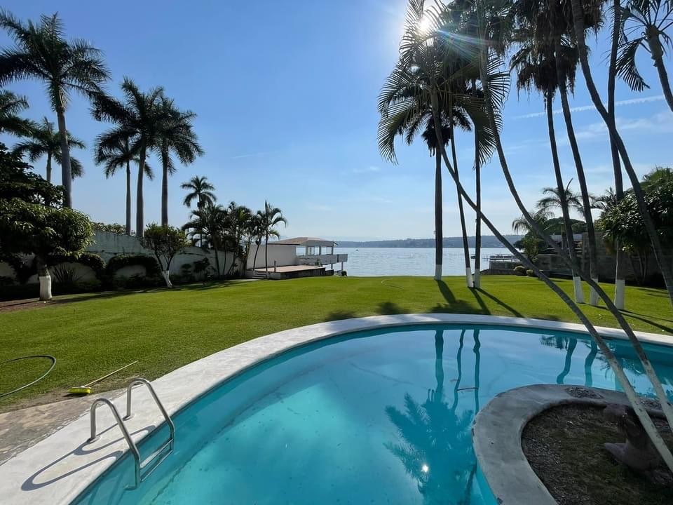 A clear view of the lake is presented from the backyard, featuring a sparkling swimming pool and gently swaying palm trees. Lush green grass surrounds the pool area, enhancing the serene atmosphere. The sun shines brightly, casting light across the scenery.