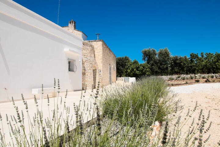 Luxury Country Villa in Ostuni