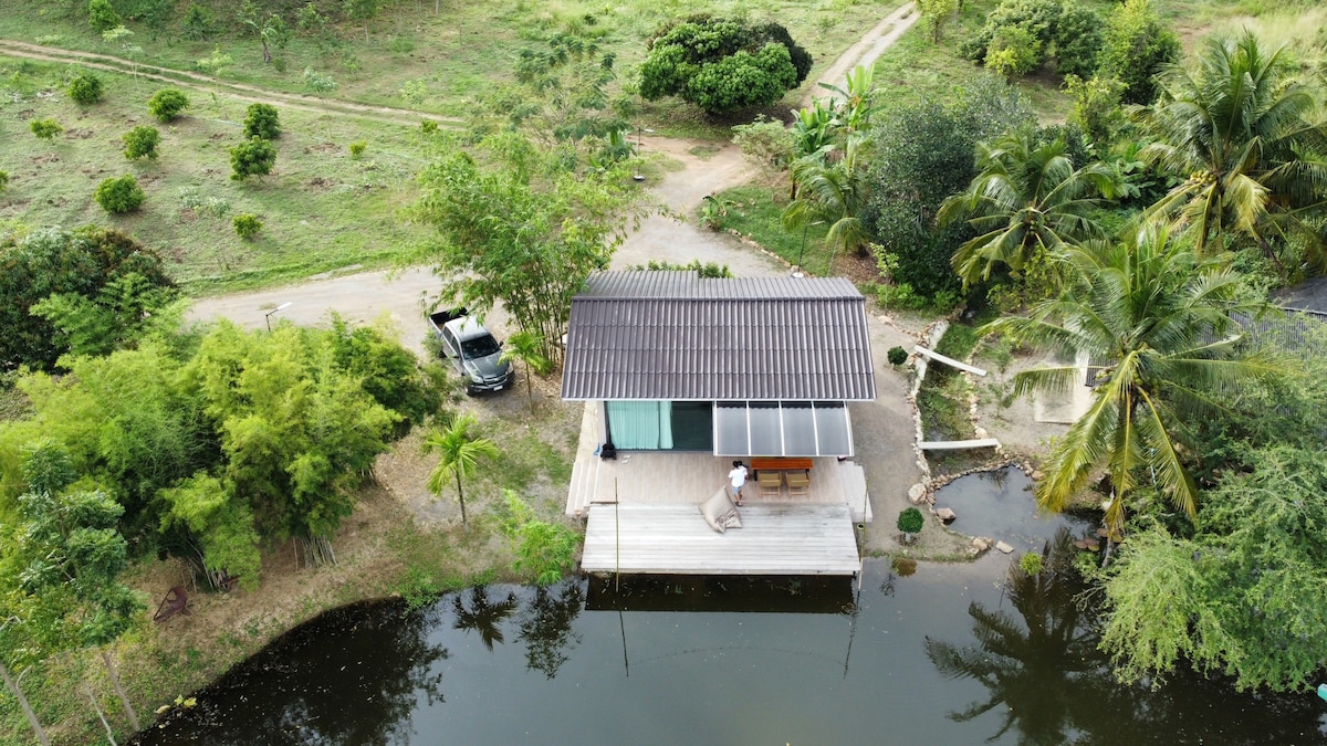 An aerial view captures a modern structure situated on a wooden deck beside a calm pond. Lush greenery surrounds the area, while a pathway leads away from the peaceful setting. Palm trees and various plants enhance the natural landscape, inviting relaxation.