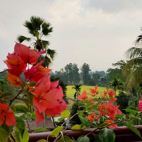 Swarna's Homestay