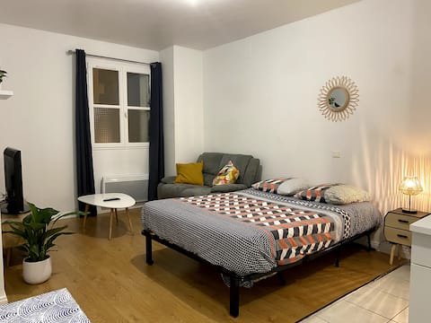 Cozy studio downtown