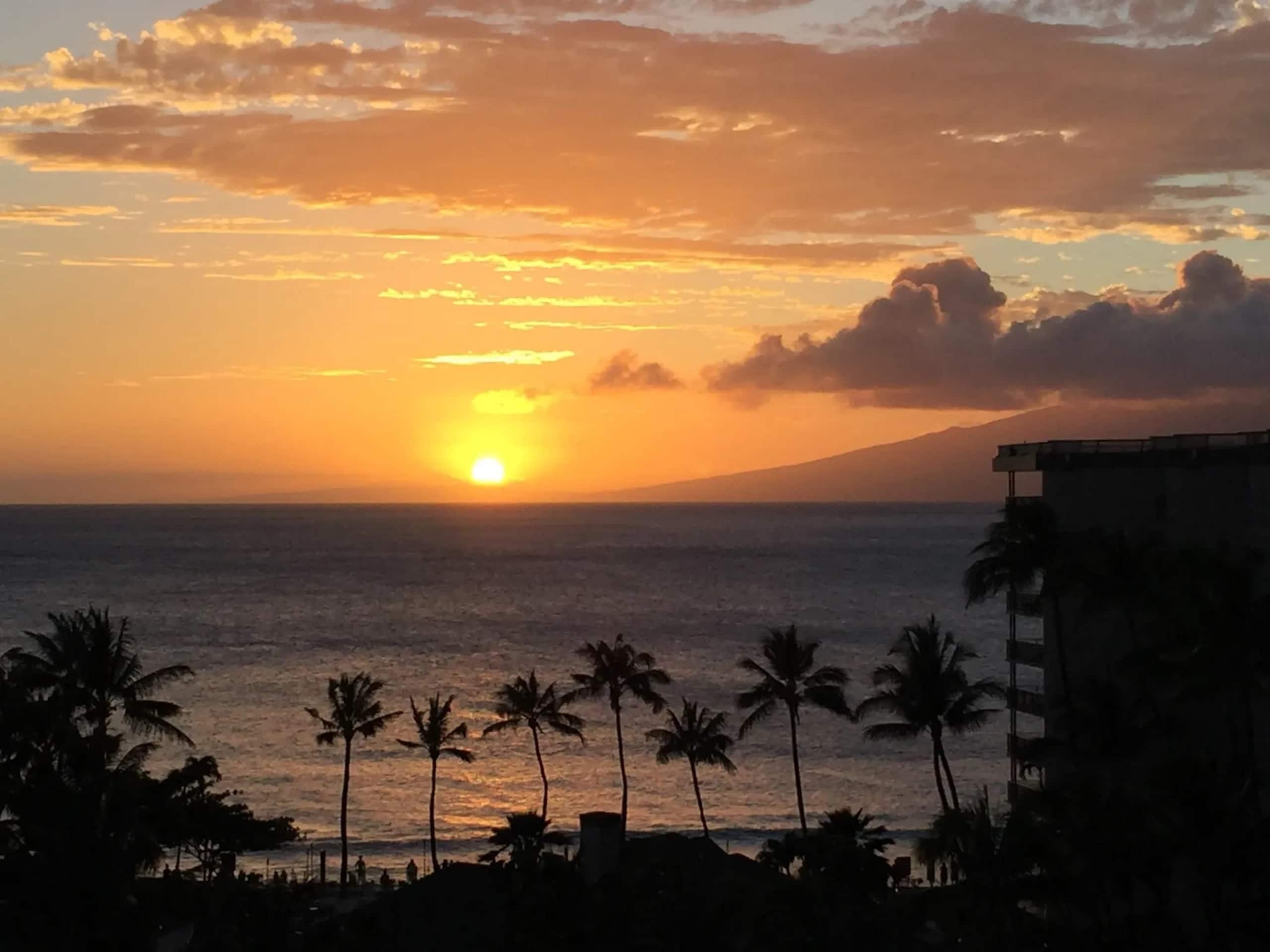 Condo in Lahaina · ★4.9 · 1 bedroom · 3 beds · 1 bath - Image 52