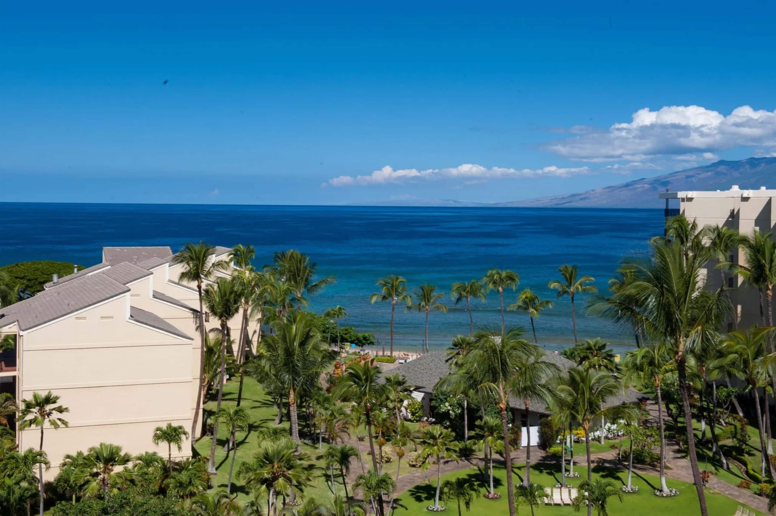 Condo in Lahaina · ★4.9 · 1 bedroom · 3 beds · 1 bath - Image 50