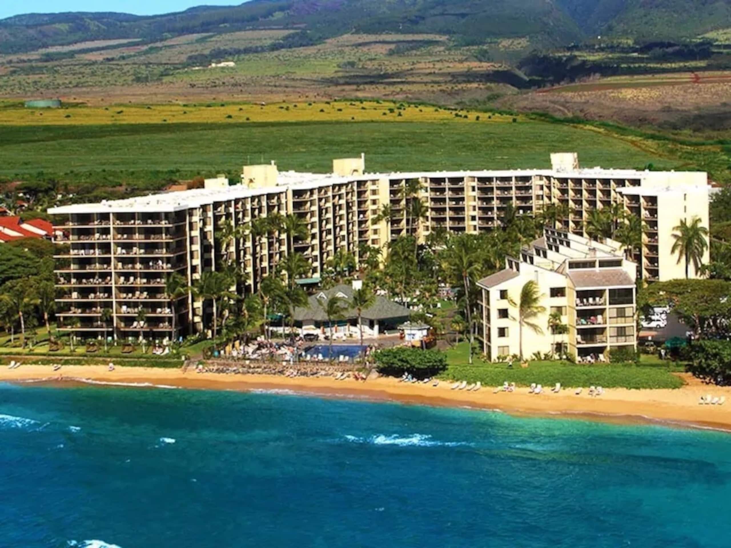 Condo in Lahaina · ★4.9 · 1 bedroom · 3 beds · 1 bath - Image 20