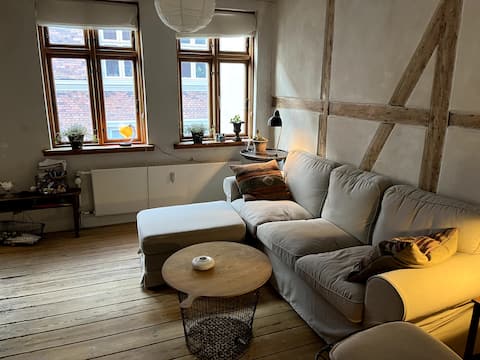Cozy apartment in Helsingør