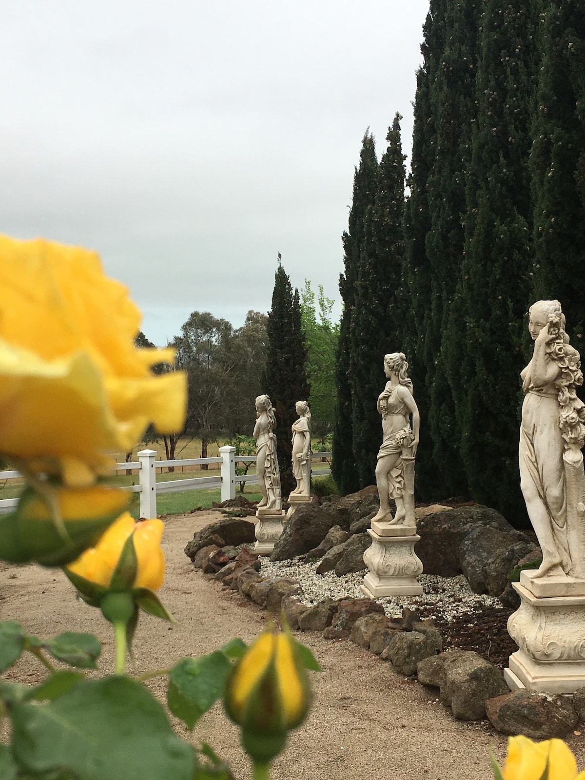 A picturesque garden path is lined with elegant statues, each artistically designed. Yellow roses are visible in the foreground, adding a touch of color. Tall, green trees frame the scene, creating a serene atmosphere in the rural setting.