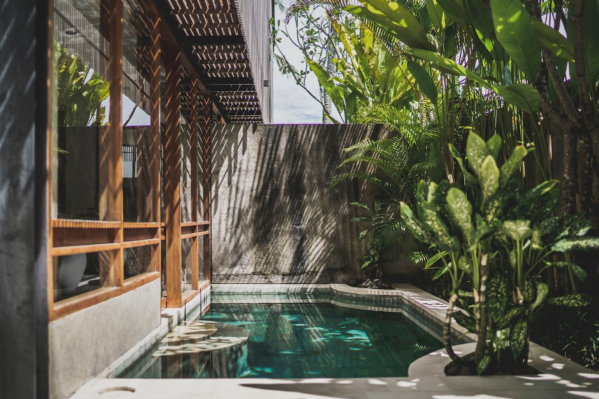 A tranquil private pool is set amidst lush greenery, with surrounding tropical plants casting dappled shadows on the water's surface. Wood accents frame the space, enhancing the natural ambiance and providing a serene retreat for relaxation.