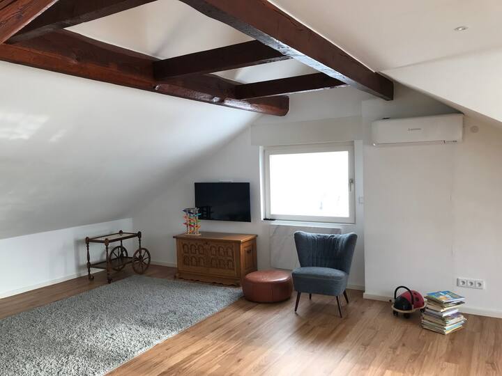 Luxury top floor Apartment Lofts for Rent in Kassel, Hessen, Germany