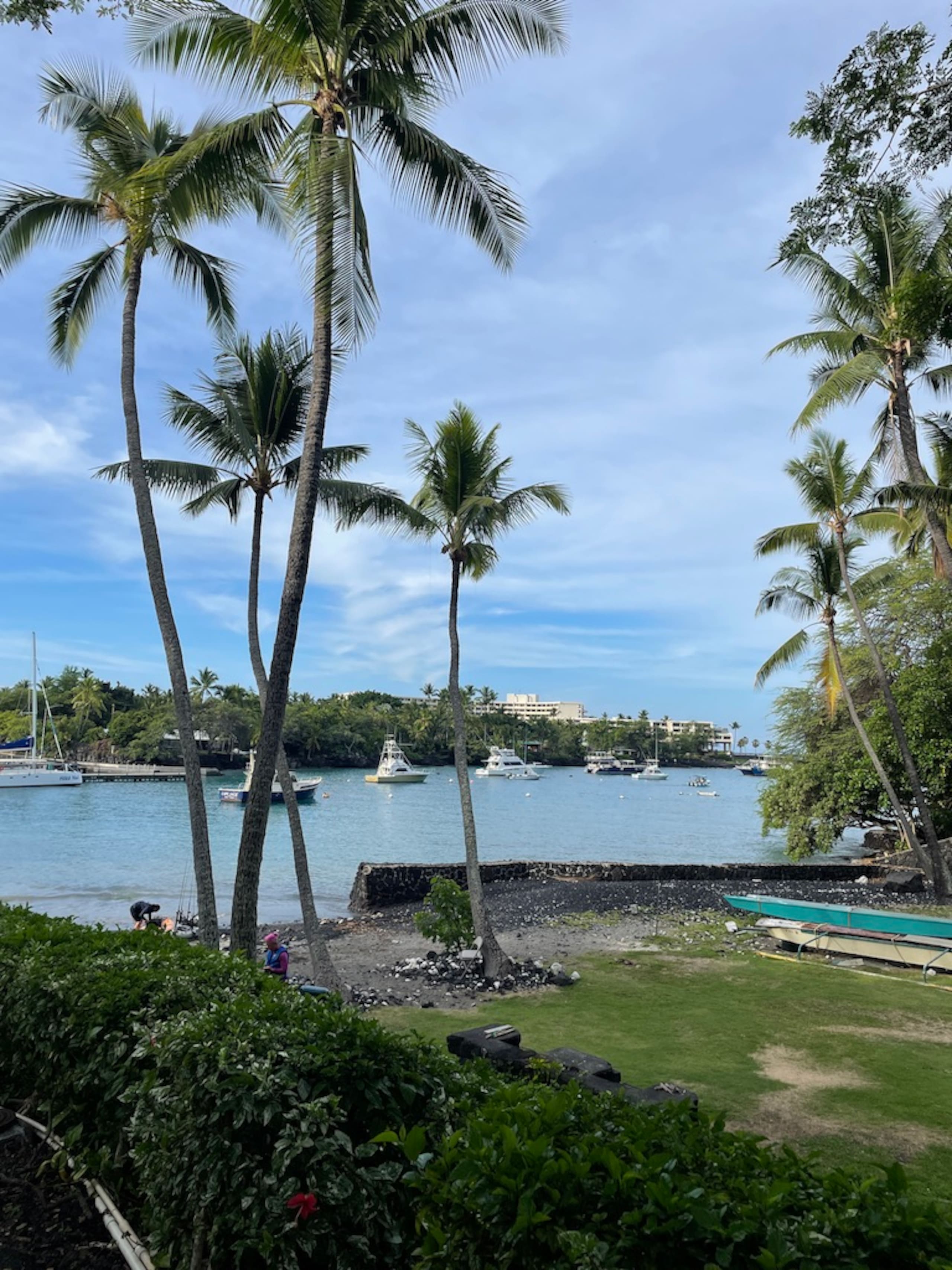Home in Kailua-Kona · ★4.96 · 1 bedroom · 2 beds · 1 bath - Image 30