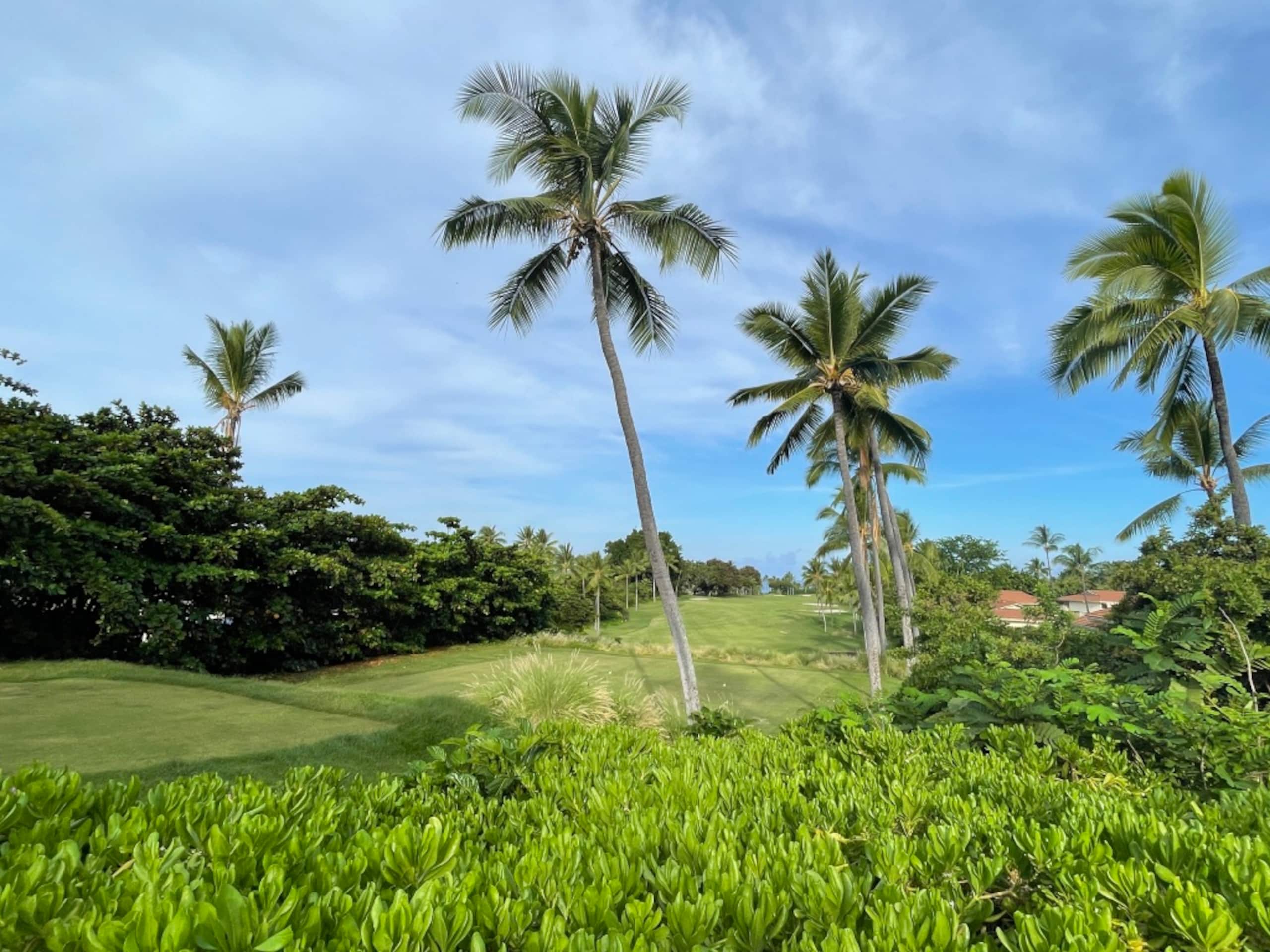 Home in Kailua-Kona · ★4.96 · 1 bedroom · 2 beds · 1 bath - Image 31