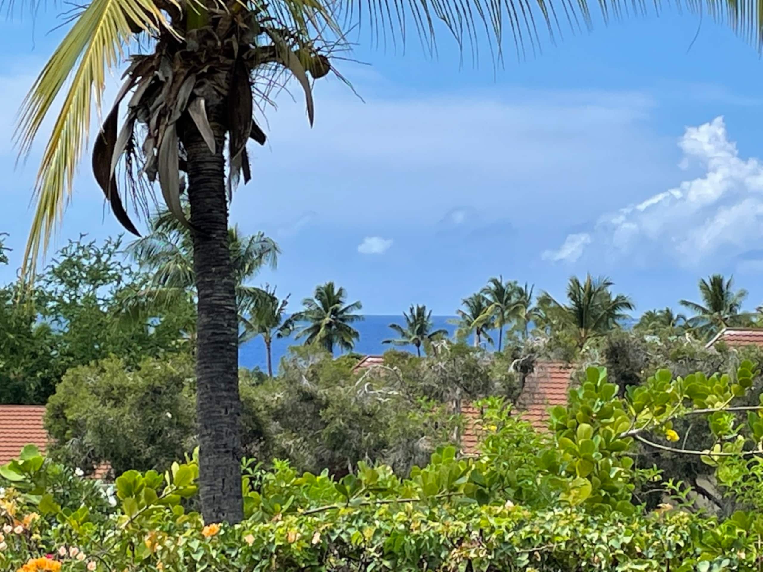 Home in Kailua-Kona · ★4.96 · 1 bedroom · 2 beds · 1 bath - Image 27