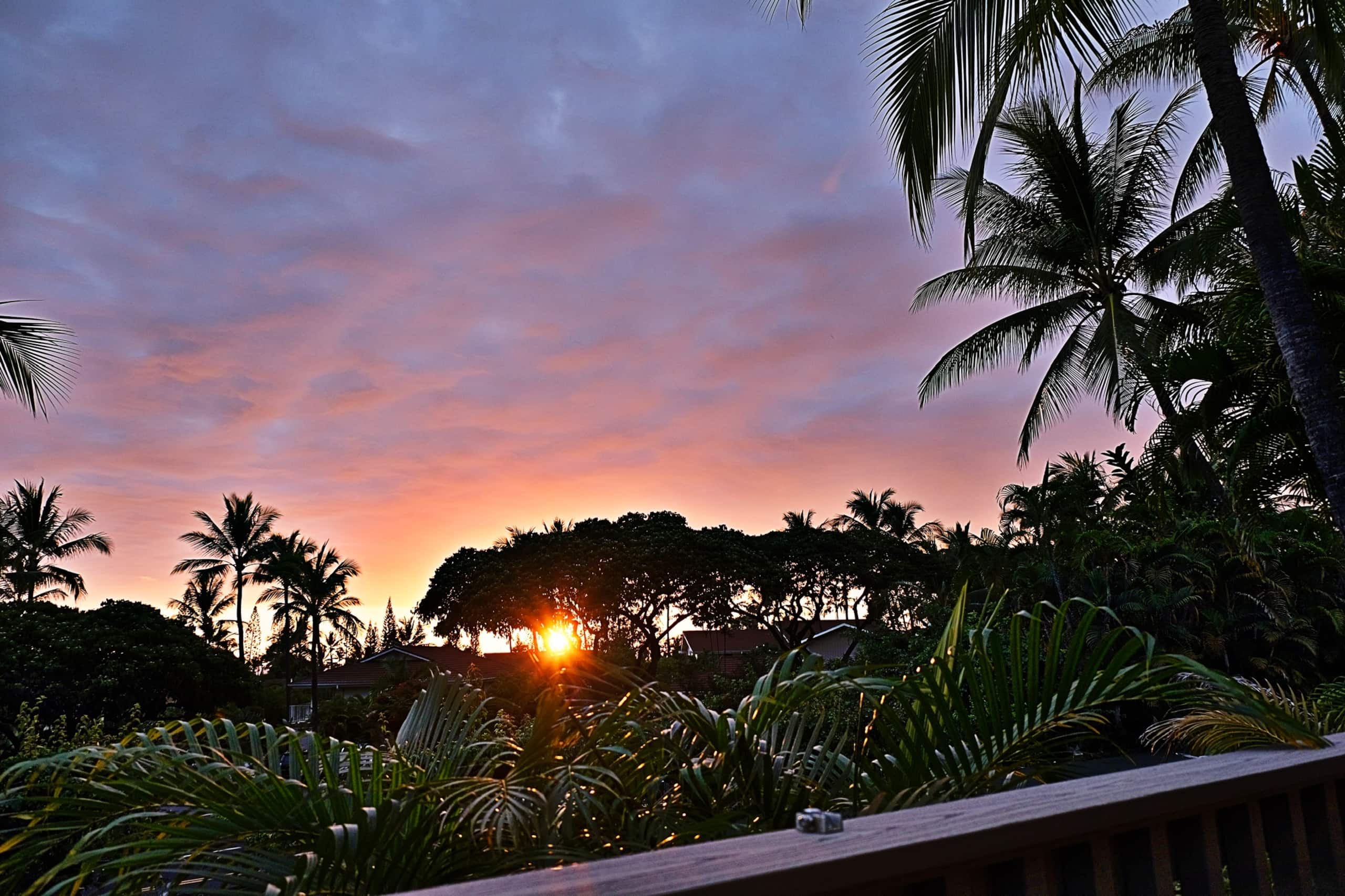 Home in Kailua-Kona · ★4.96 · 1 bedroom · 2 beds · 1 bath - Image 17