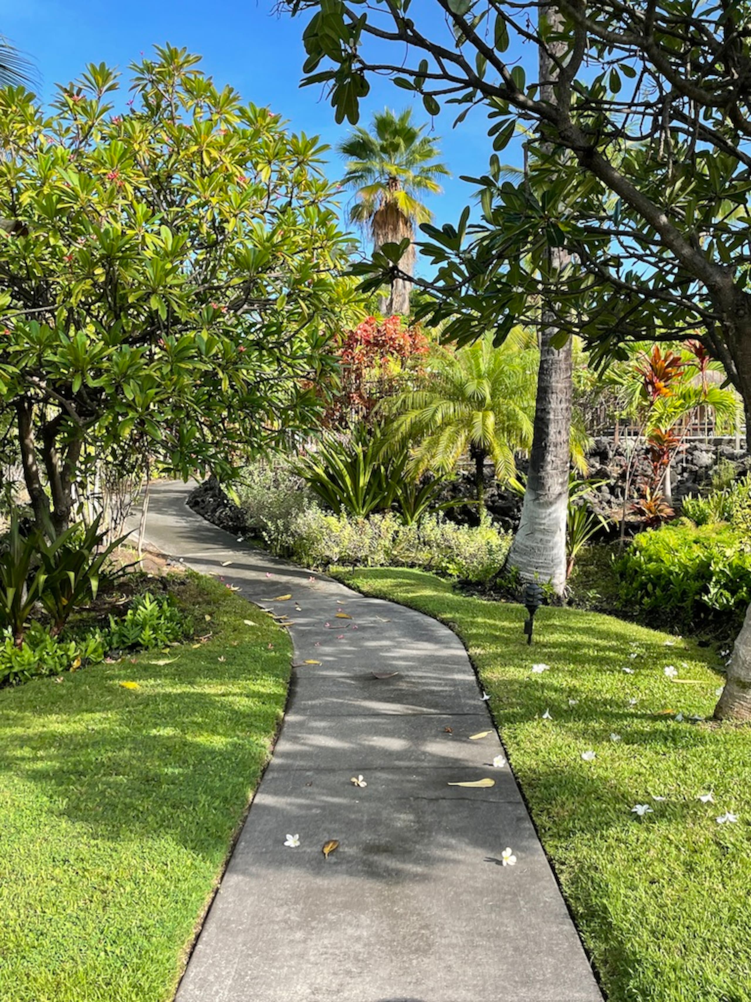 Home in Kailua-Kona · ★4.96 · 1 bedroom · 2 beds · 1 bath - Image 29