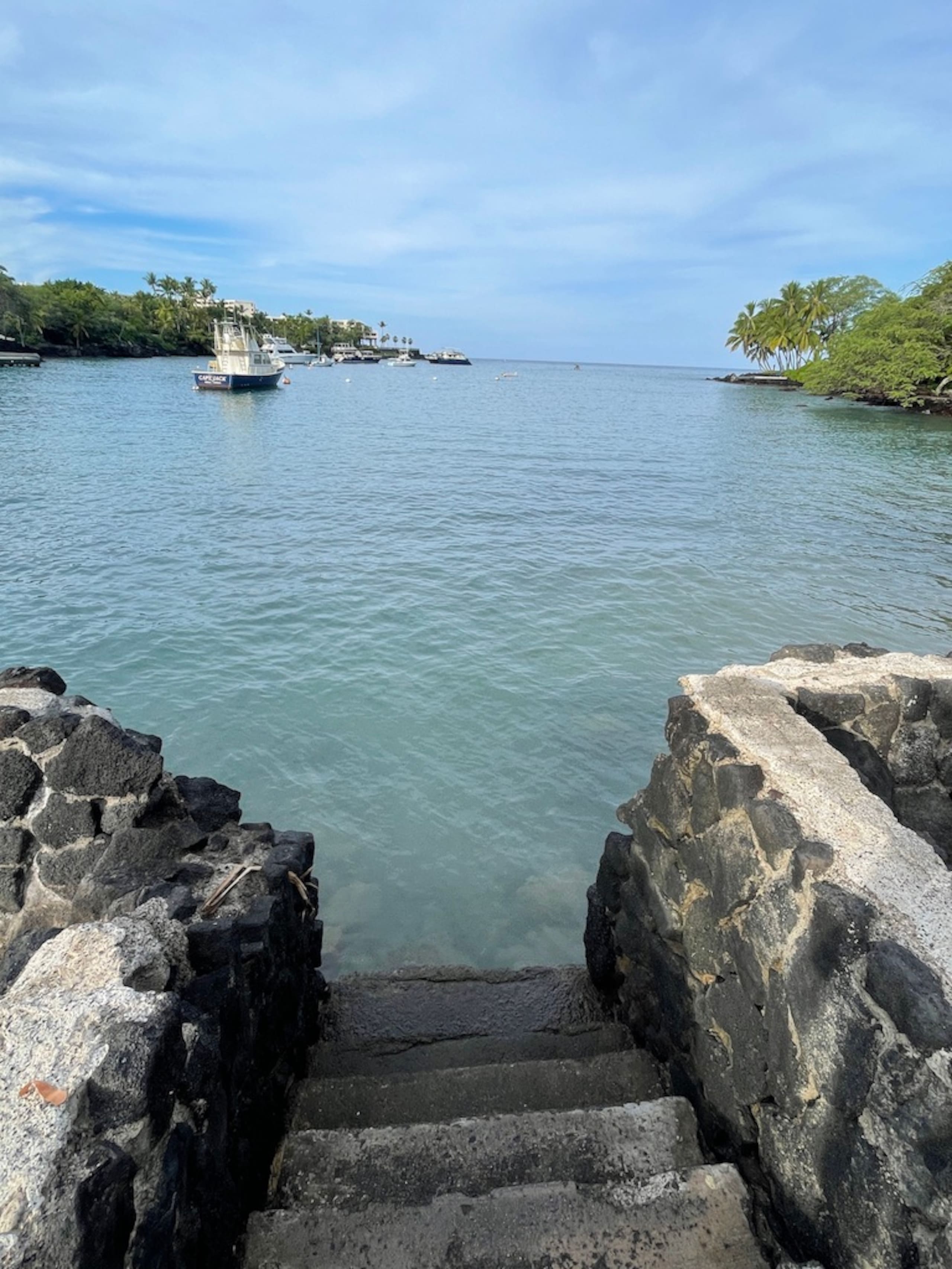 Home in Kailua-Kona · ★4.96 · 1 bedroom · 2 beds · 1 bath - Image 32
