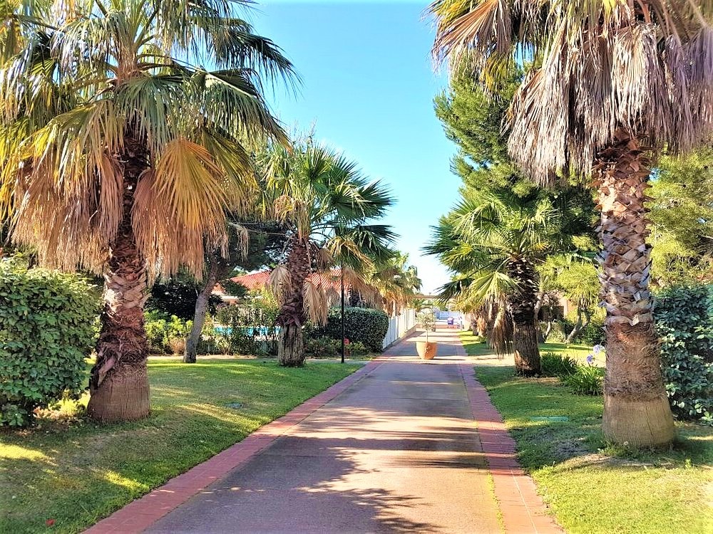 A well-maintained pathway is lined with palm trees and greenery, providing a serene environment. The path leads through a garden area, with a glimpse of the exterior amenities visible in the background under clear blue skies.