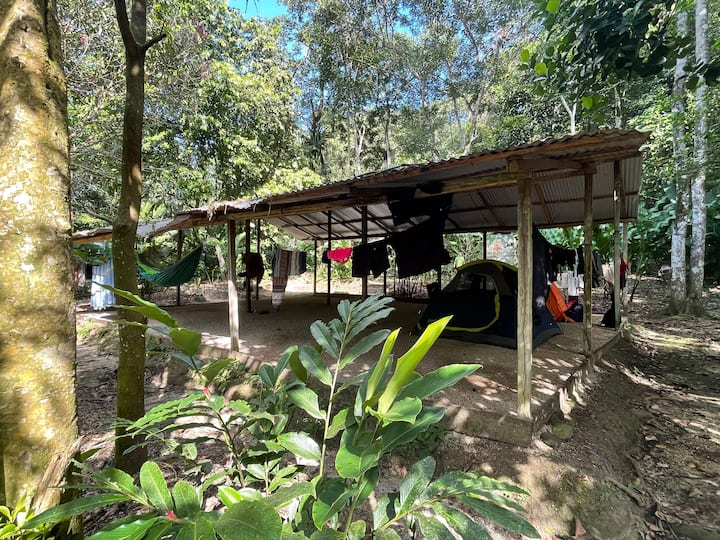 Camping Pitch Under A Shared Covered Roof - Tabasco