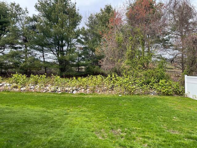 Summer Breeze & Good Vibes gallery image 2