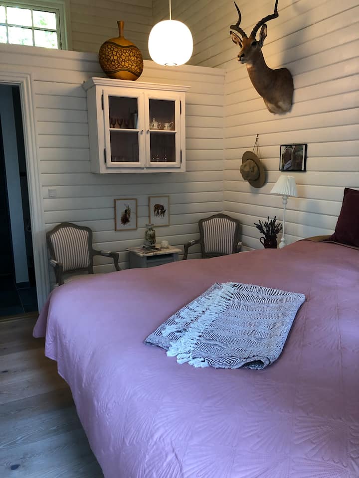 The Room Bird King مستوحى من أفريقيا، حيث يوجد العديد من الذكريات.