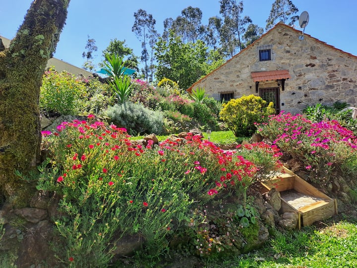 Private Pool, Stone Cottage, Vouga Valley Views