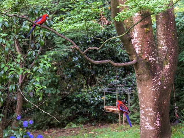 Winter Rose, sleeps 4, private gardens gallery image 3