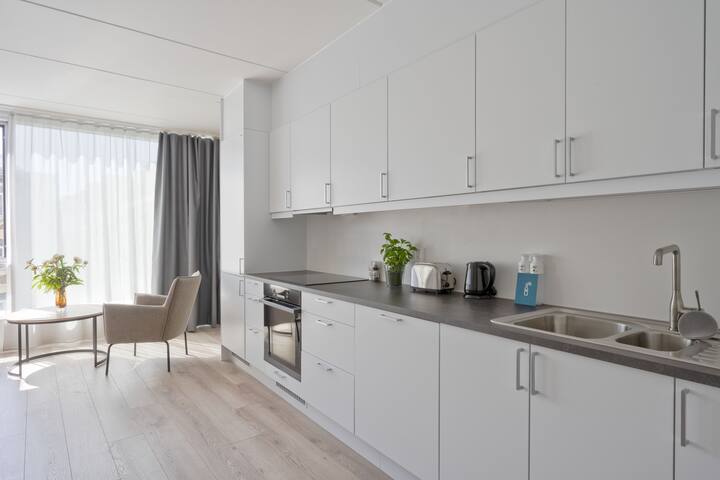 Spacious 2-Bedroom Apartment with Kitchen & Washer gallery image 3